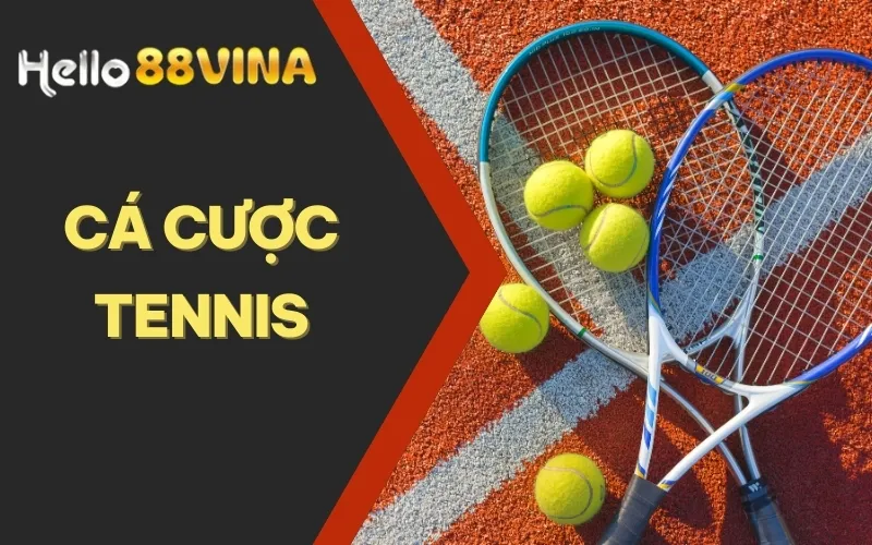 Cá Cược Tennis Và Kinh Nghiệm Hữu Ích Bet Thủ Nên Nắm