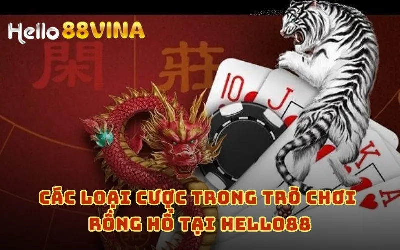 Các loại cược trong trò chơi Rồng Hổ tại HELLO88