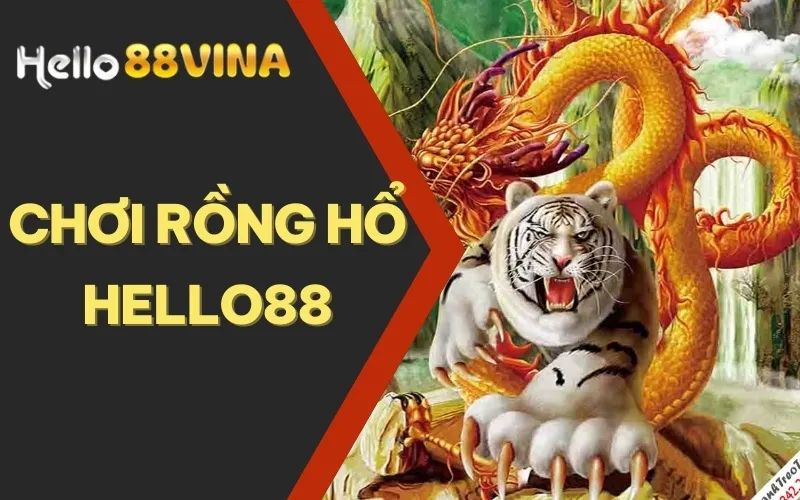 Chơi Rồng Hổ HELLO88 - Trò Chơi Giúp Game Thủ Hốt Bạc Uy Tín