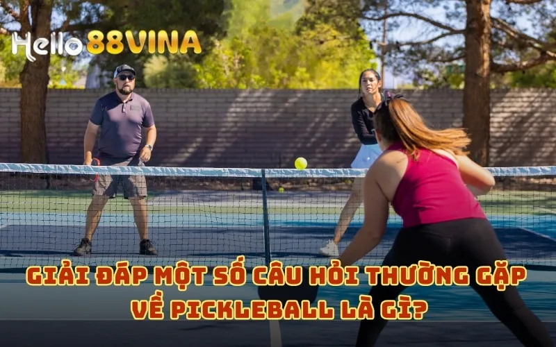 Giải đáp một số câu hỏi thường gặp về Pickleball là gì?