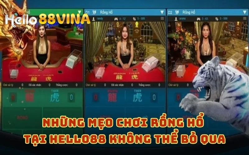 Những mẹo chơi Rồng Hổ tại HELLO88 không thể bỏ qua