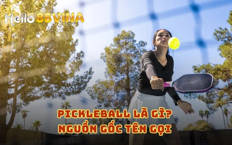 Pickleball là gì? Nguồn gốc tên gọi 